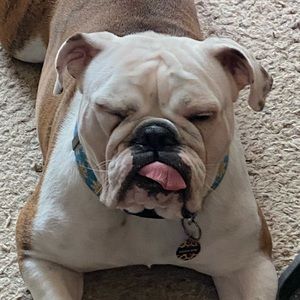 Meet your Posher, Ellie